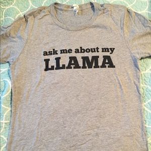 🦙 Ask Me About My Llama 🦙